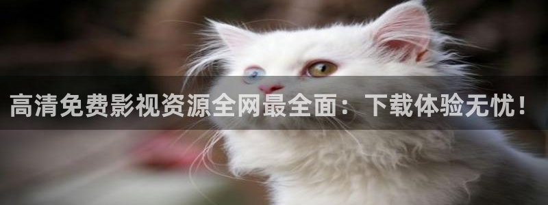 99视频视频：高清免费影视资源全网最全面：下载体验无忧！