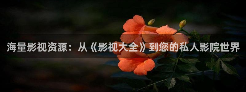 99视频观看在线：海量影视资源：从《影视大全》到您的私人影院世界