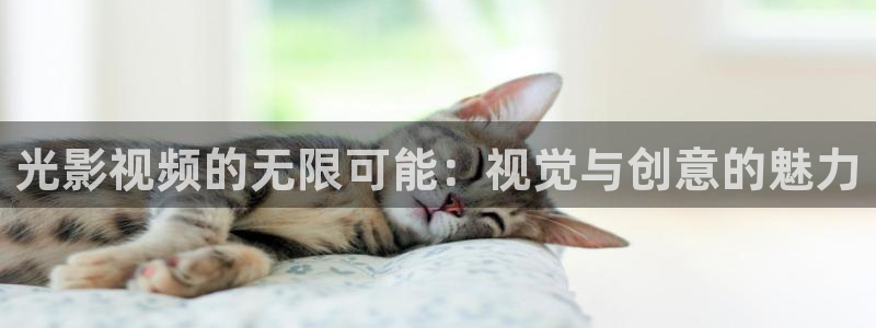99视频污：光影视频的无限可能：视觉与创意的魅力
