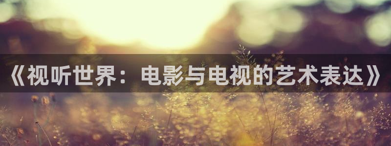 99视频在线观看视频免费：《视听世界：电影与电视的艺术表达》