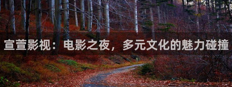 偷拍在99视频：宣萱影视：电影之夜，多元文化的魅力碰撞